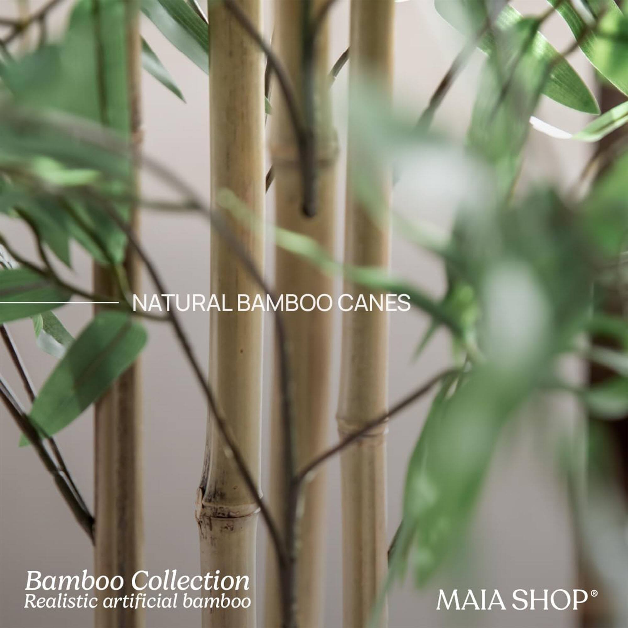 NATURAL BAMBOO CANES

Bamboo Collection  
Realistic artificial bamboo

MAIA SHOP®