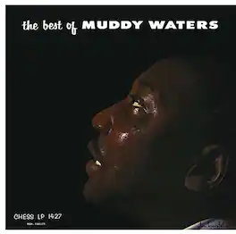 Muddy Waters - The Best Of Muddy Waters - VINYL LP