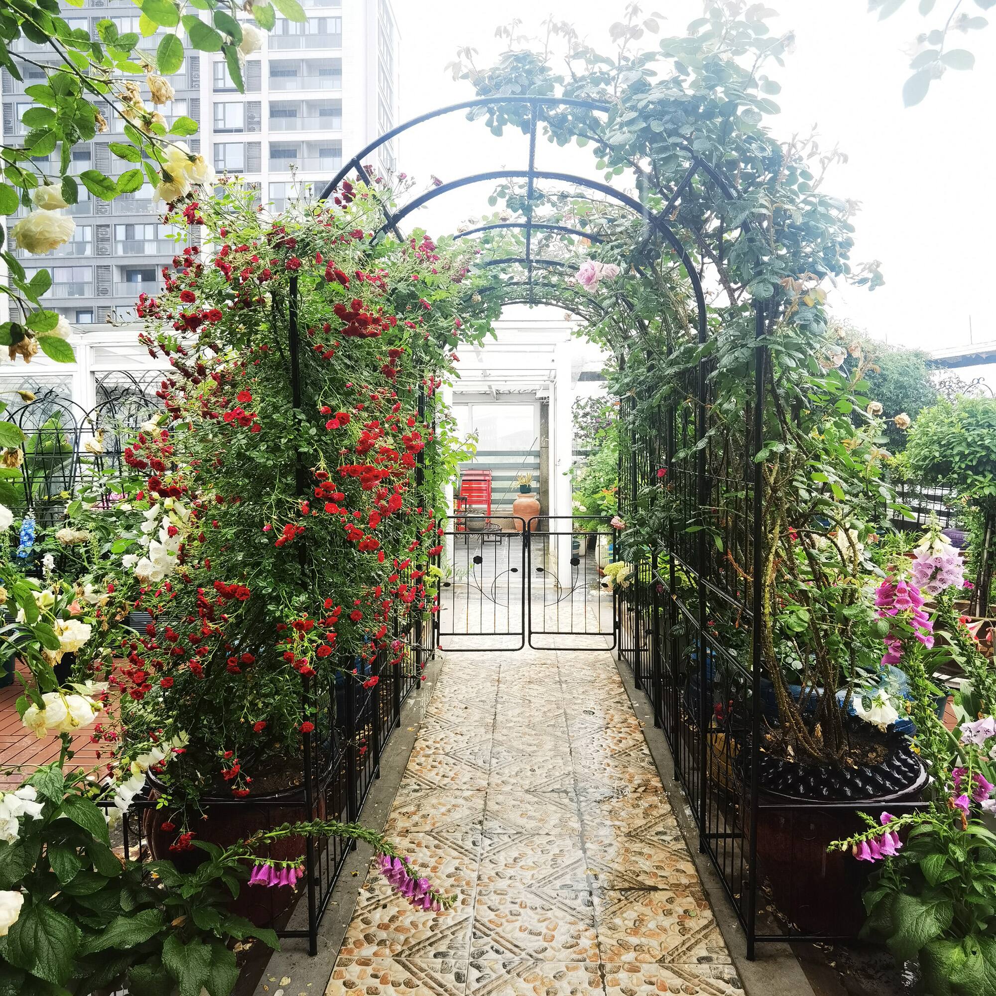 Alt View 6. Loheer - Metal Garden Arch with Built-In Plant Stands for Climbing Plants and Roses, Outdoor Trellis - Black.