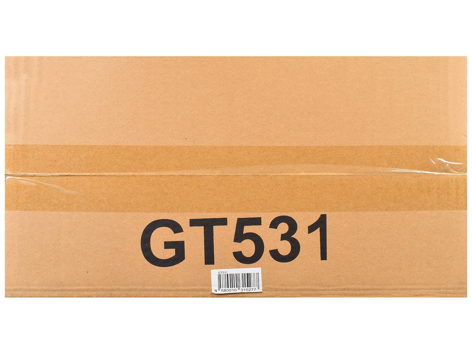 GT531 GISI 0 580010 315277