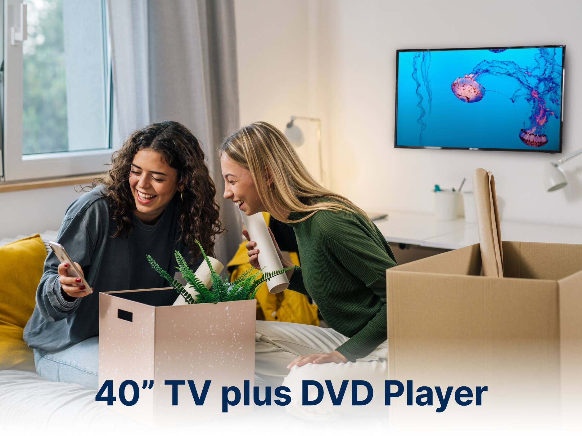 40" TV plus DVD Player