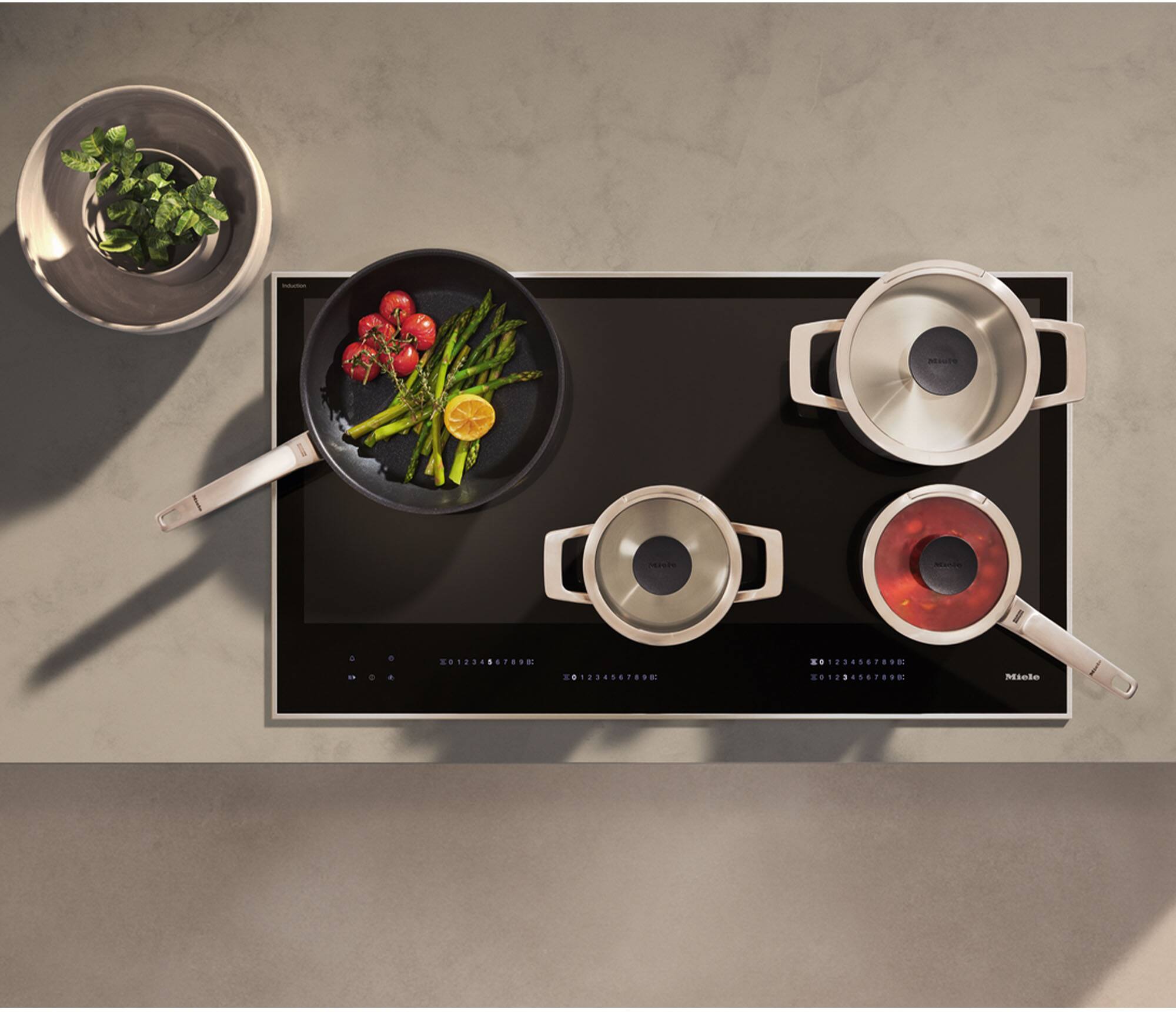 COLORIA  
2012348676501 01234067898:  
01234567898:  
Miele