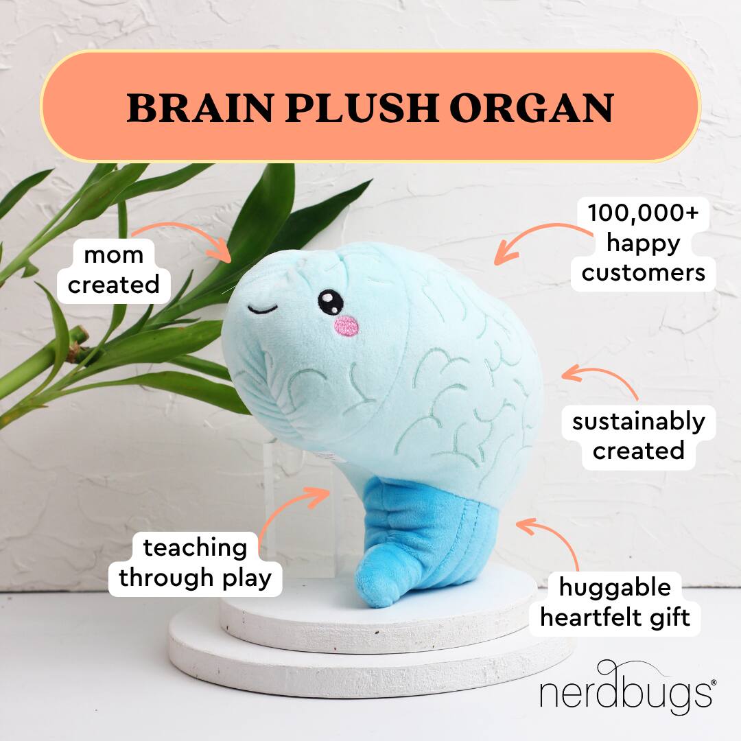 BRAIN PLUSH ORGAN

- mom created
- teaching through play
- sustainably created
- huggable heartfelt gift
- 100,000+ happy customers

nerdbugs®