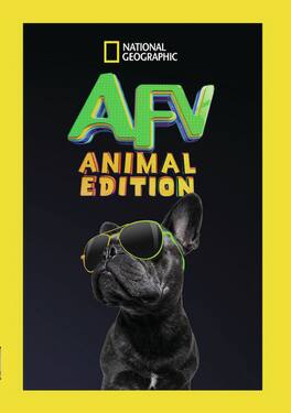 America's Funniest Videos: Animal Edition - DVD