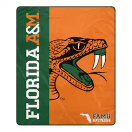 Pegasus - Florida A&M Rattlers 50" x 60" Endzone Ultra Soft Throw Blanket - Multicolor