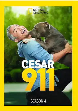 Cesar 911 Season 4 - DVD
