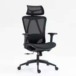 HTUTWOO - Ergonomic Mesh Office Chair with Adjustable Headrest & Lumbar Support -High Back Breathable Gaming Chair for Home Office - Black