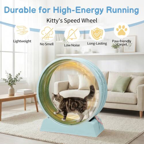 Durable for High-Energy Running  
Kitty's Speed Wheel  
Lightweight  
No Smell  
Low Noise  
Long-Lasting  
Paw-friendly Carpet