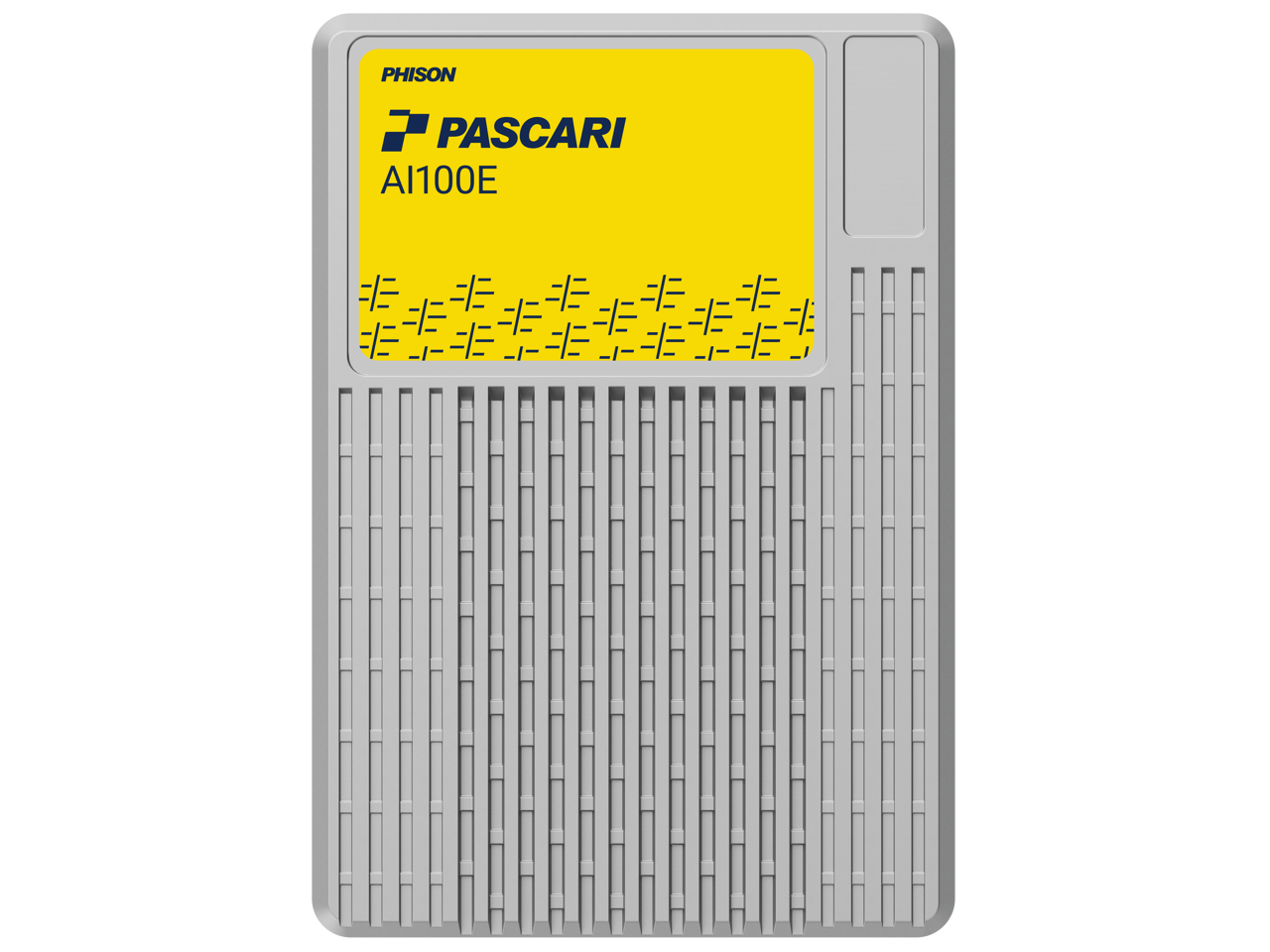 PHISON  
PASCARI  
A100E