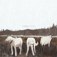 The Albatross [LP] - VINYL - Front_Zoom