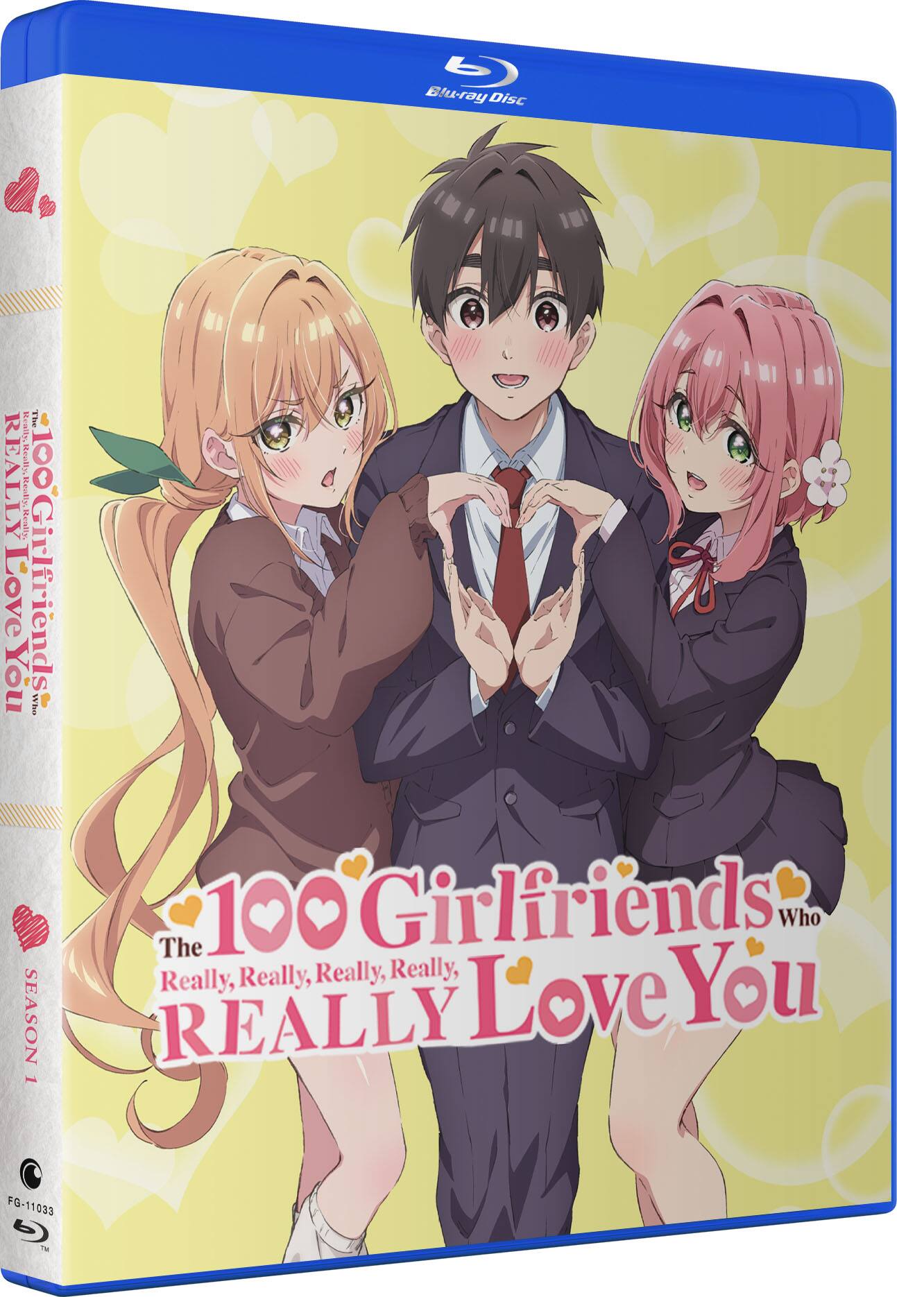 Alt View 1. The 100 Girlfriends Who Really, Really, Really, Really, Really Love You: Season 1   - BLU-RAY.