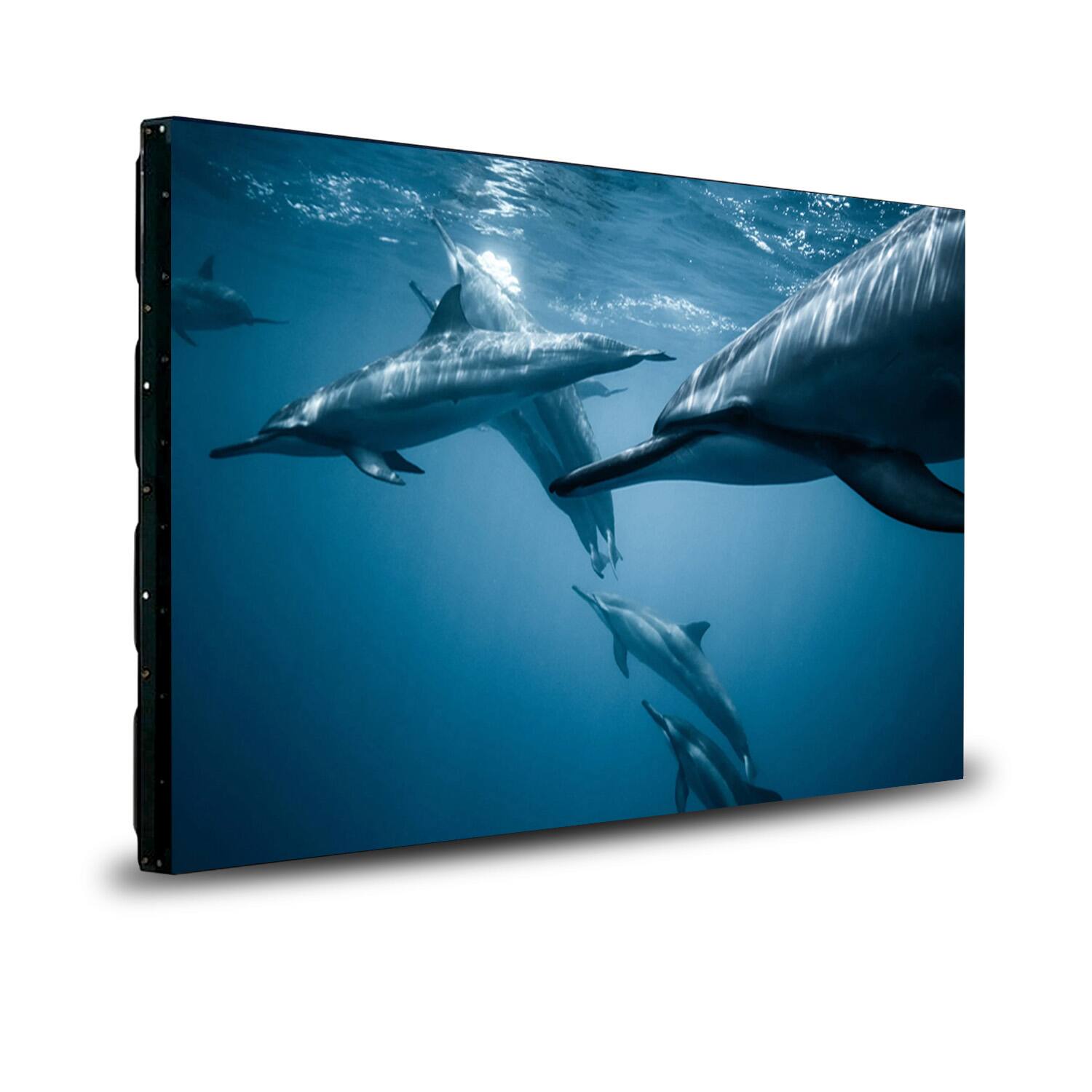 Front. LG - LG 49" 49VL5F-A Full HD Video Wall IPS Display with Ultra Narrow Bezel + HDMI Cable + Remote Controller + Cleaning Kit a.