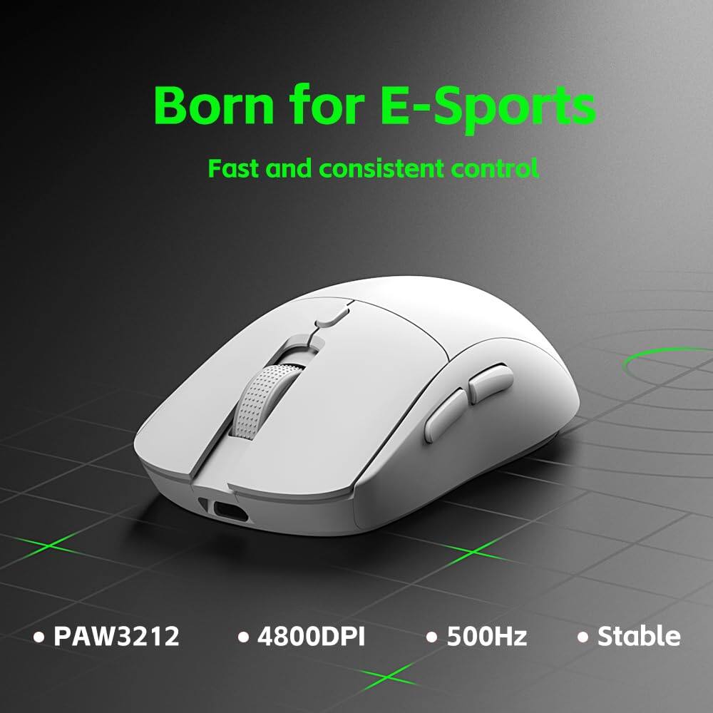Born for E-Sports  
Fast and consistent control  

PAW3212  
4800DPI  
500Hz  
Stable