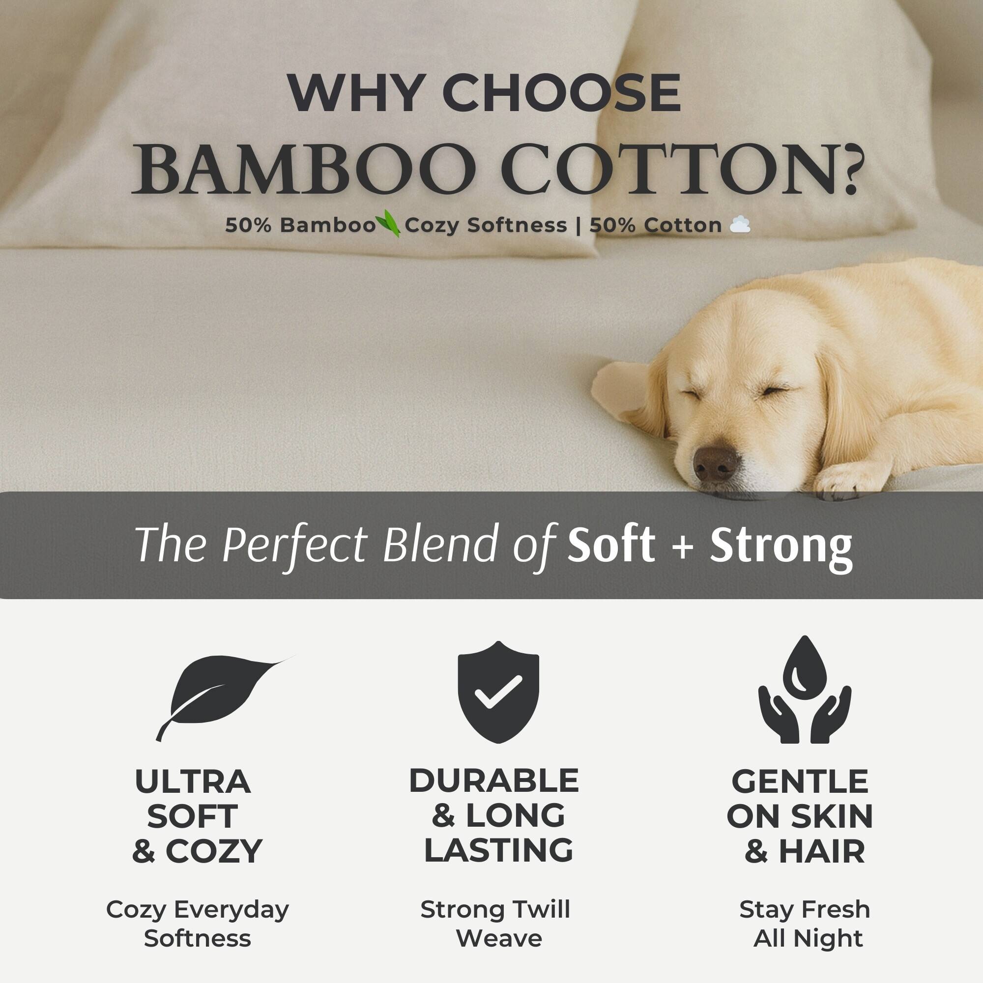 WHY CHOOSE BAMBOO COTTON?

50% Bamboo Cozy Softness | 50% Cotton

The Perfect Blend of Soft + Strong

ULTRA SOFT & COZY
Cozy Everyday Softness

DURABLE & LONG LASTING
Strong Twill Weave

GENTLE ON SKIN & HAIR
Stay Fresh All Night