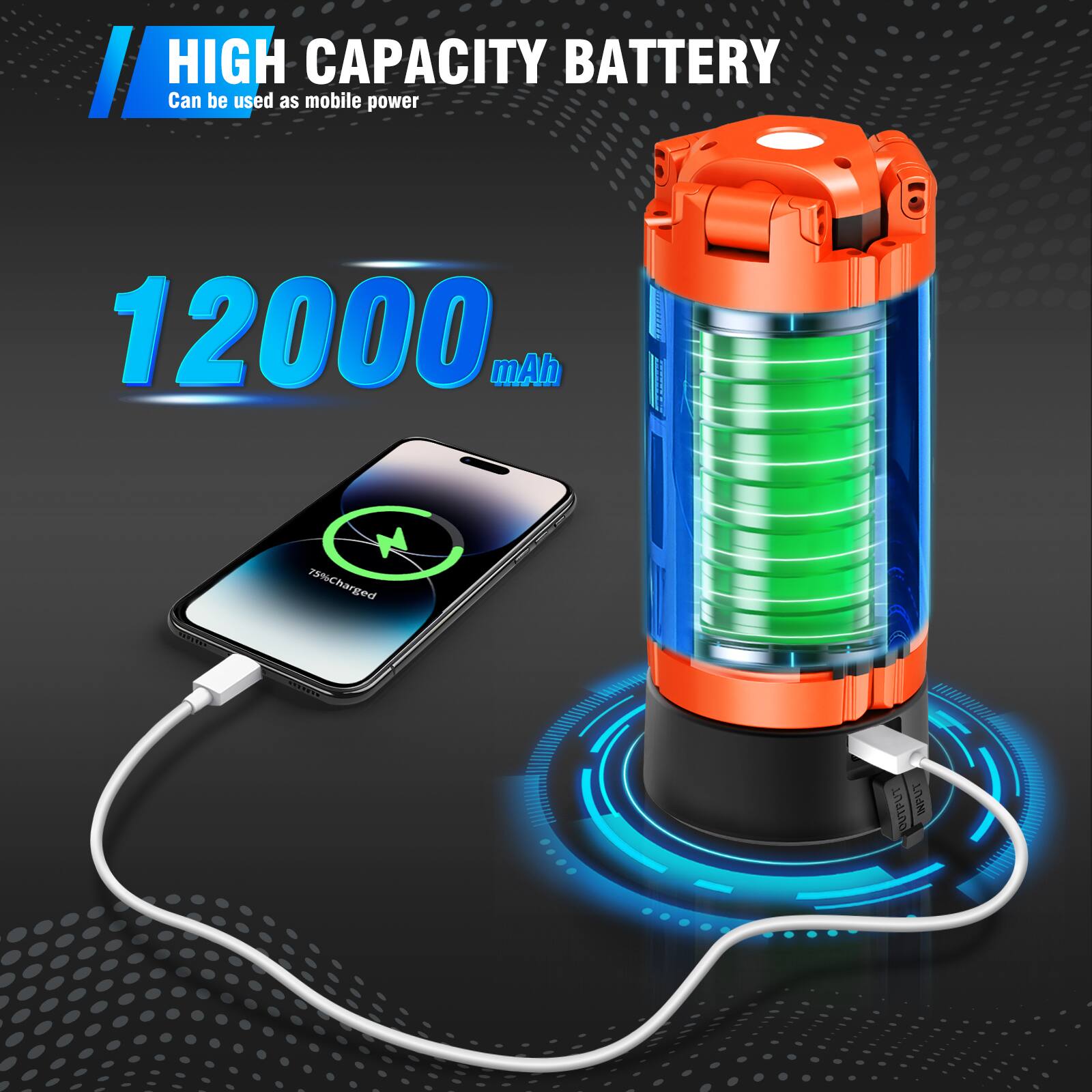 HIGH CAPACITY BATTERY  
Can be used as mobile power  

12000 mAh  

79% Charged  

OUTPUT  
INPUT