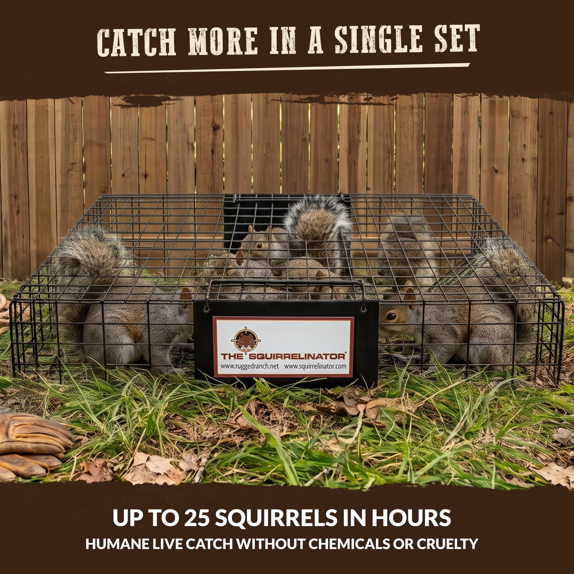 CATCH MORE IN A SINGLE SET

THE SQUIRRELINATOR
www.ruggedranch.net
www.squirrelinator.com

UP TO 25 SQUIRRELS IN HOURS
HUMANE LIVE CATCH WITHOUT CHEMICALS OR CRUELTY