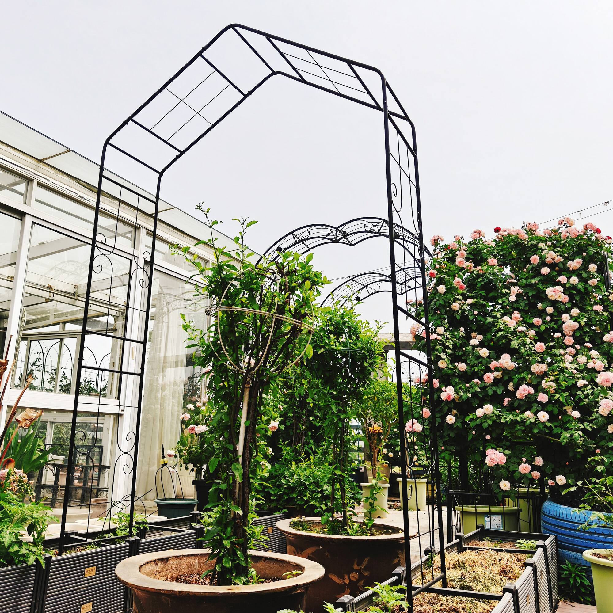 Back. Loheer - Metal Garden Arch Trellis 4.7 ft x 1.4 ft x 7.9 ft for Climbing Plants Outdoor - Black.