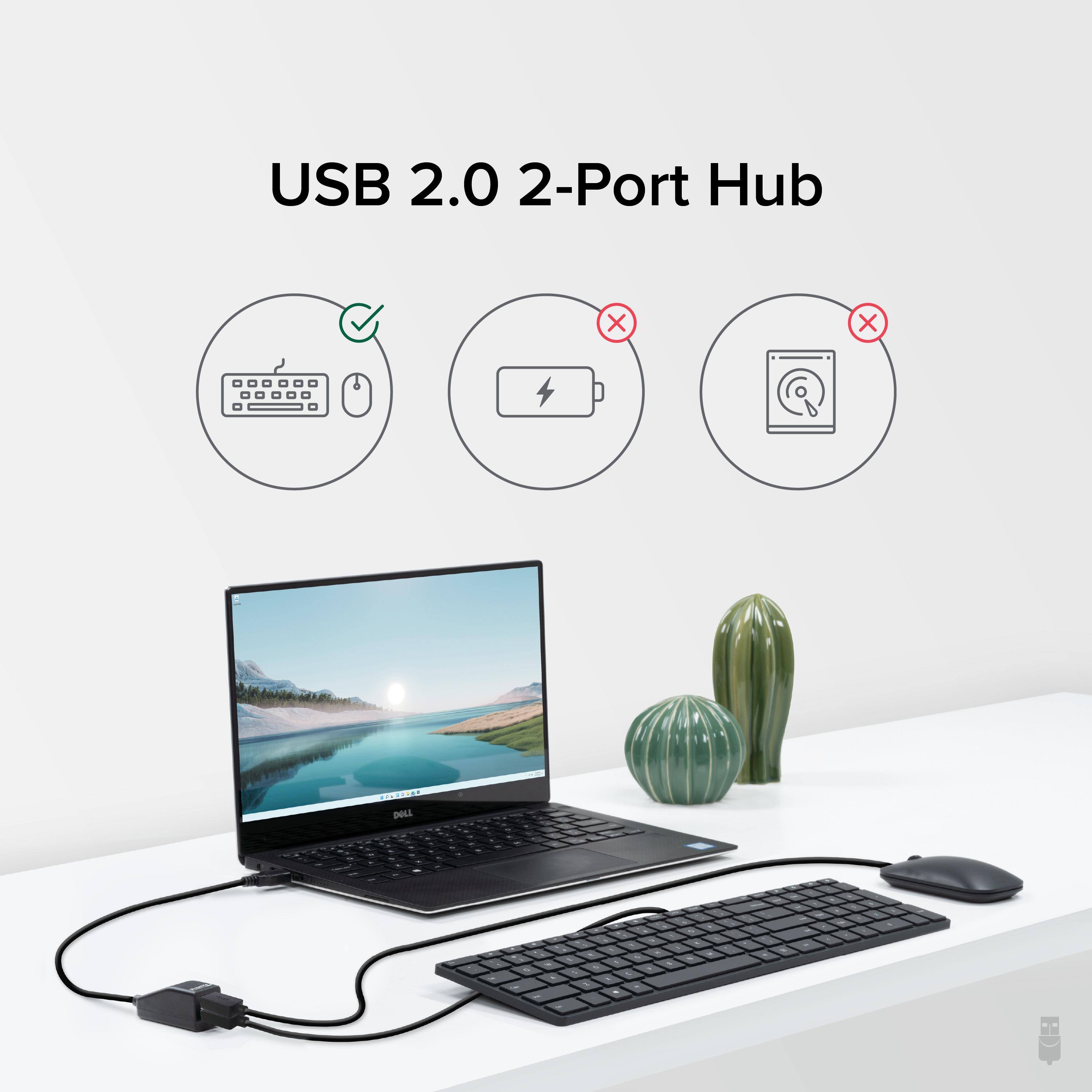 USB 2.0 2-Port Hub

- Keyboard and Mouse: ✅
- Charging: ❌
- Charging Pad: ❌