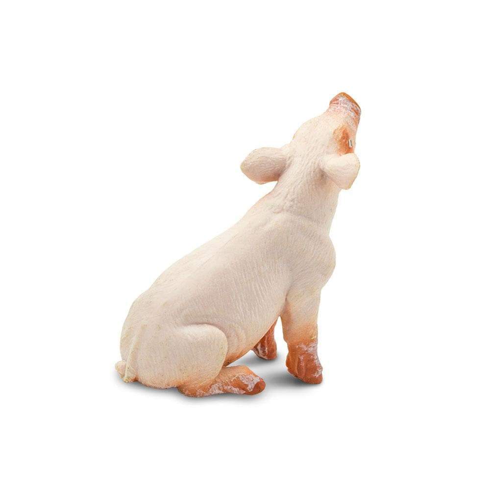 Back. Safari Ltd. - Sitting Piglet.