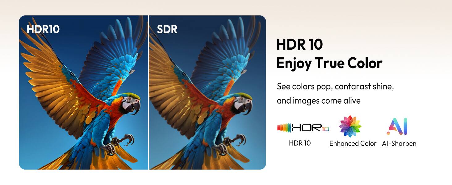 HDR10  
Enjoy True Color  
See colors pop, contrast shine, and images come alive  

HDR10  
Enhanced Color  
AI-Sharpen