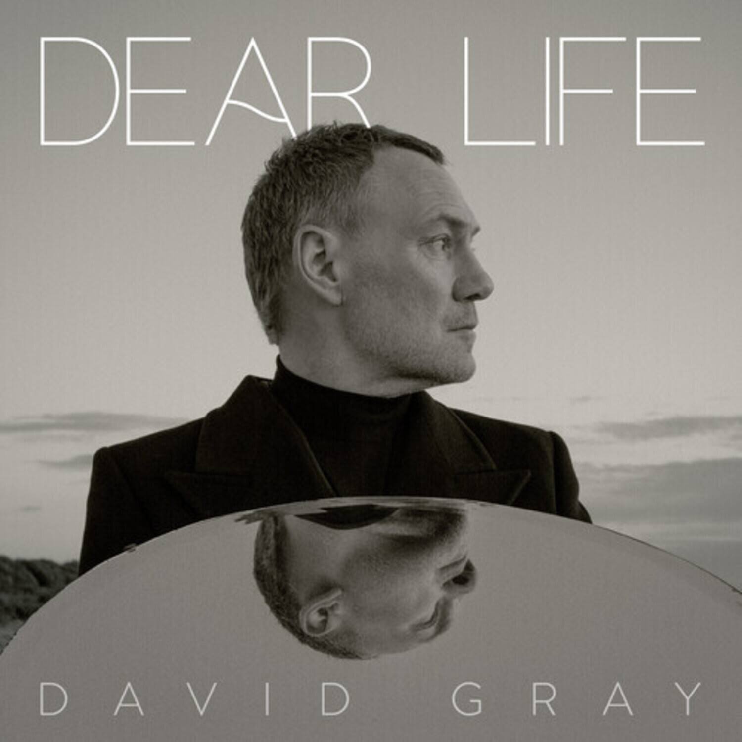 DEAR LIFE

DAVID GRAY