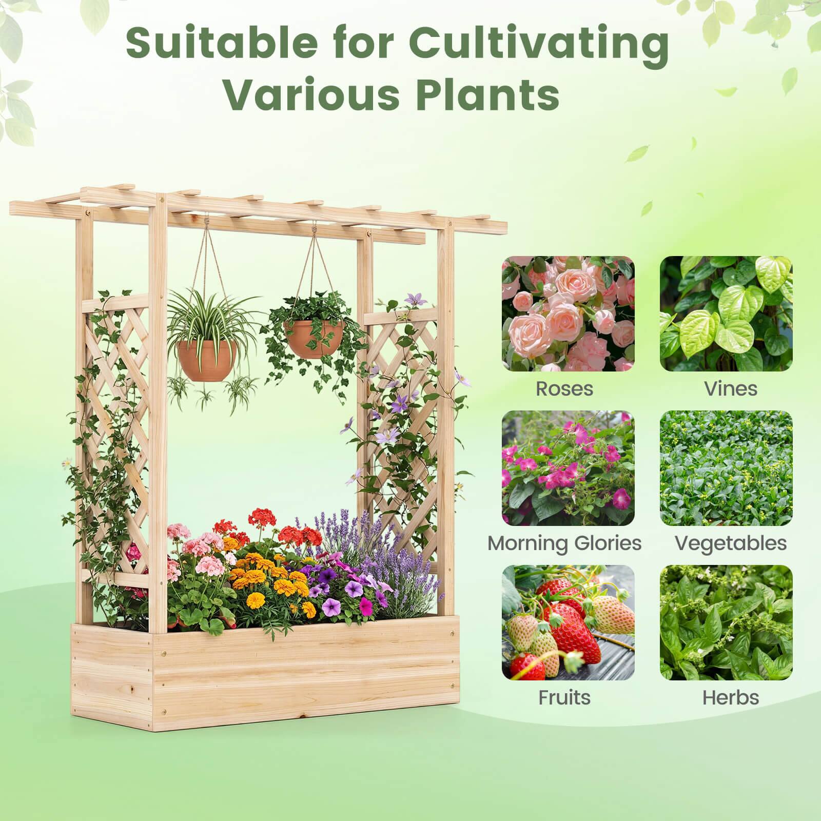 Suitable for Cultivating Various Plants

- Roses
- Vines
- Morning Glories
- Vegetables
- Fruits
- Herbs