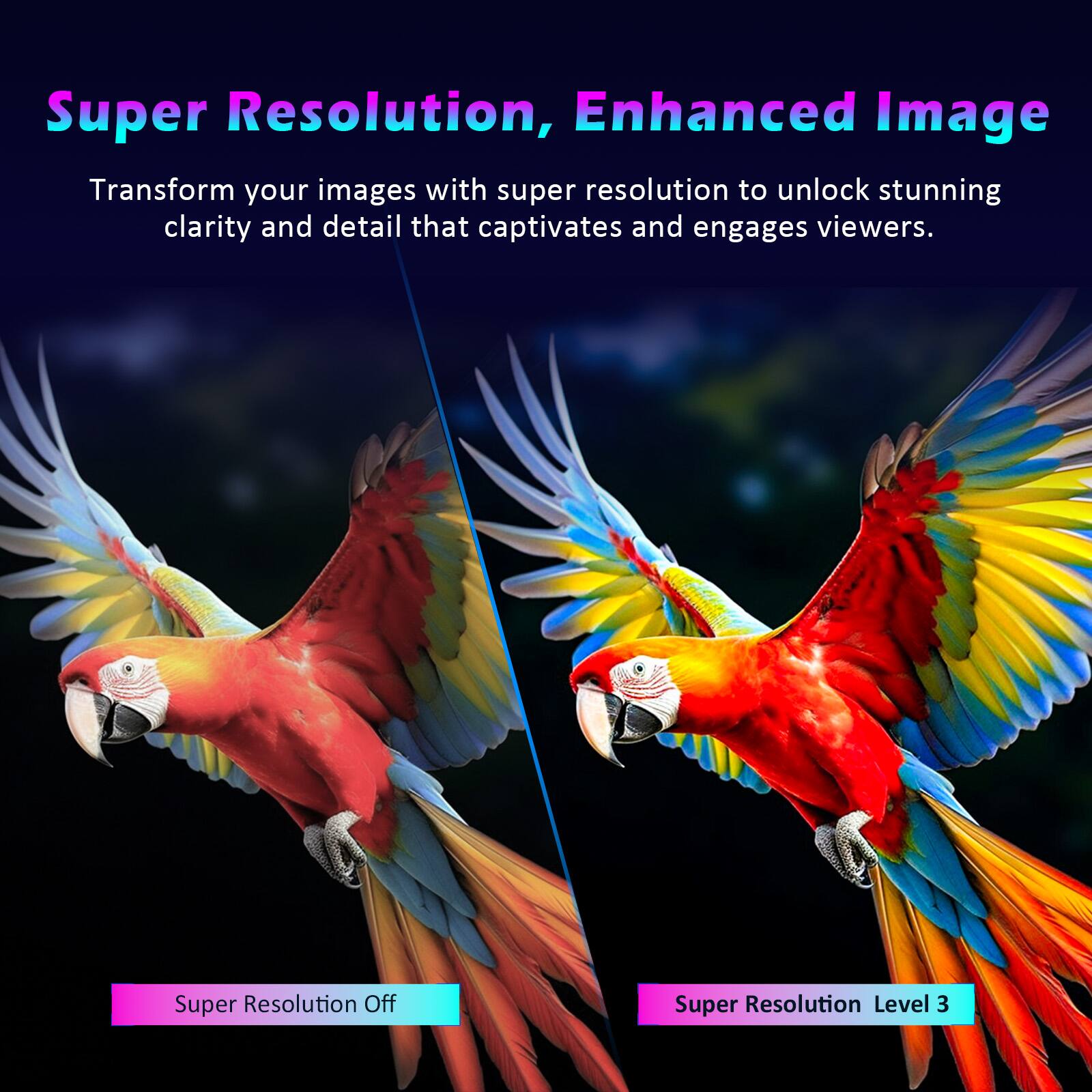 Super Resolution, Enhanced Image

Transform your images with super resolution to unlock stunning clarity and detail that captivates and engages viewers.

Super Resolution Off

Super Resolution Level 3
