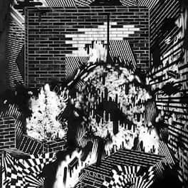 Gross Ghost - Public Housing - VINYL LP