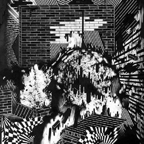 Gross Ghost - Public Housing   - VINYL LP