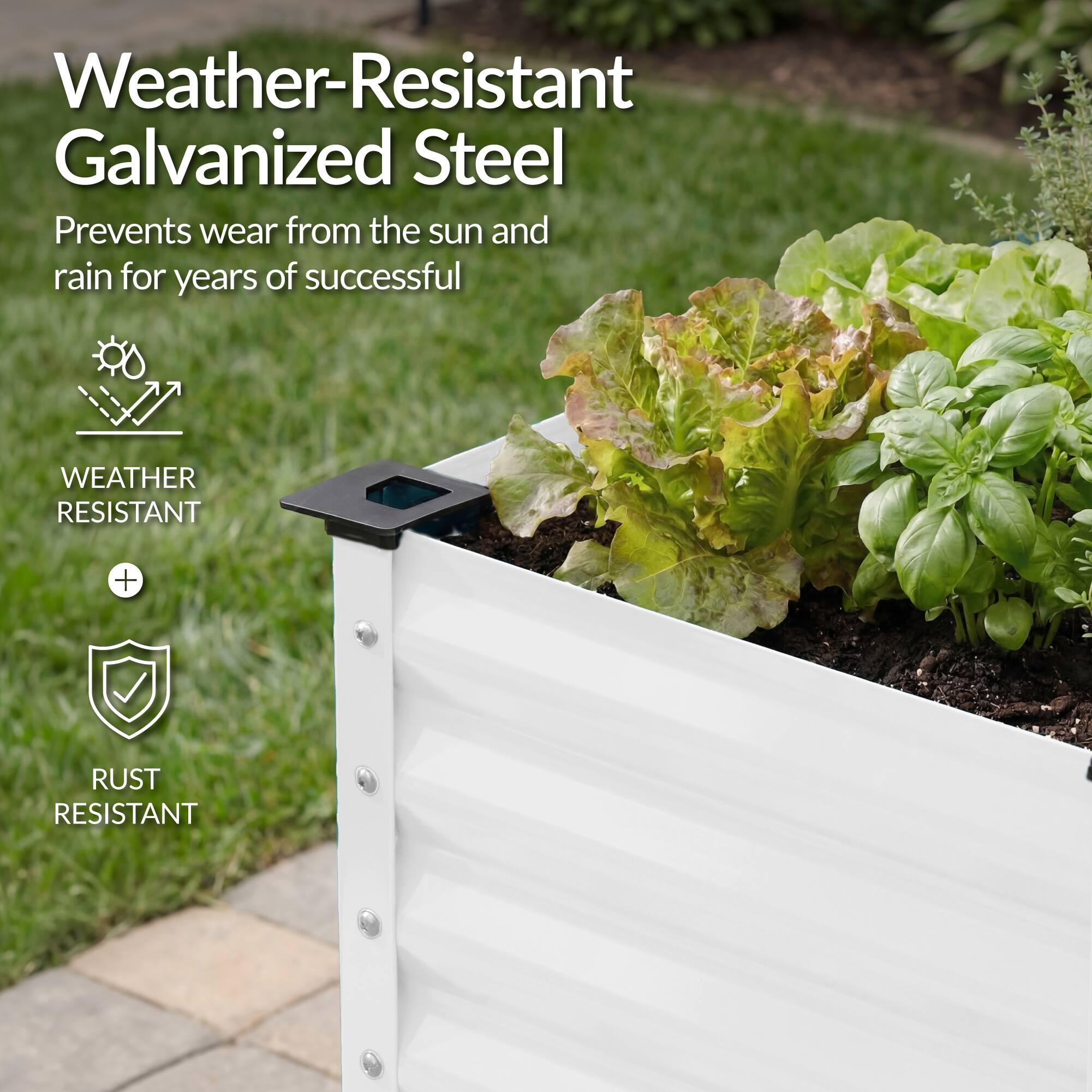 Weather-Resistant Galvanized Steel

Prevents wear from the sun and rain for years of successful

WEATHER RESISTANT + RUST RESISTANT