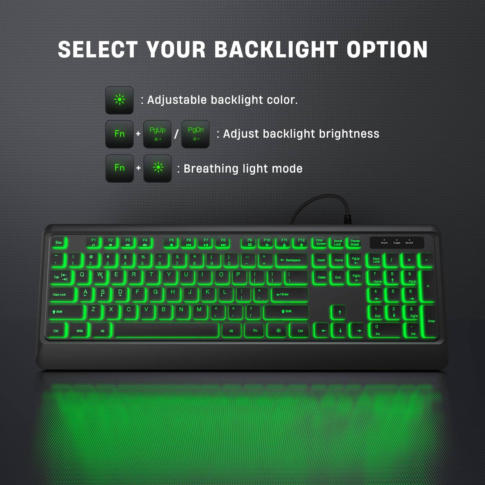 SELECT YOUR BACKLIGHT OPTION

- Adjustable backlight color.
- Fn + PgUp / PgDn : Adjust backlight brightness
- Fn + : Breathing light mode
