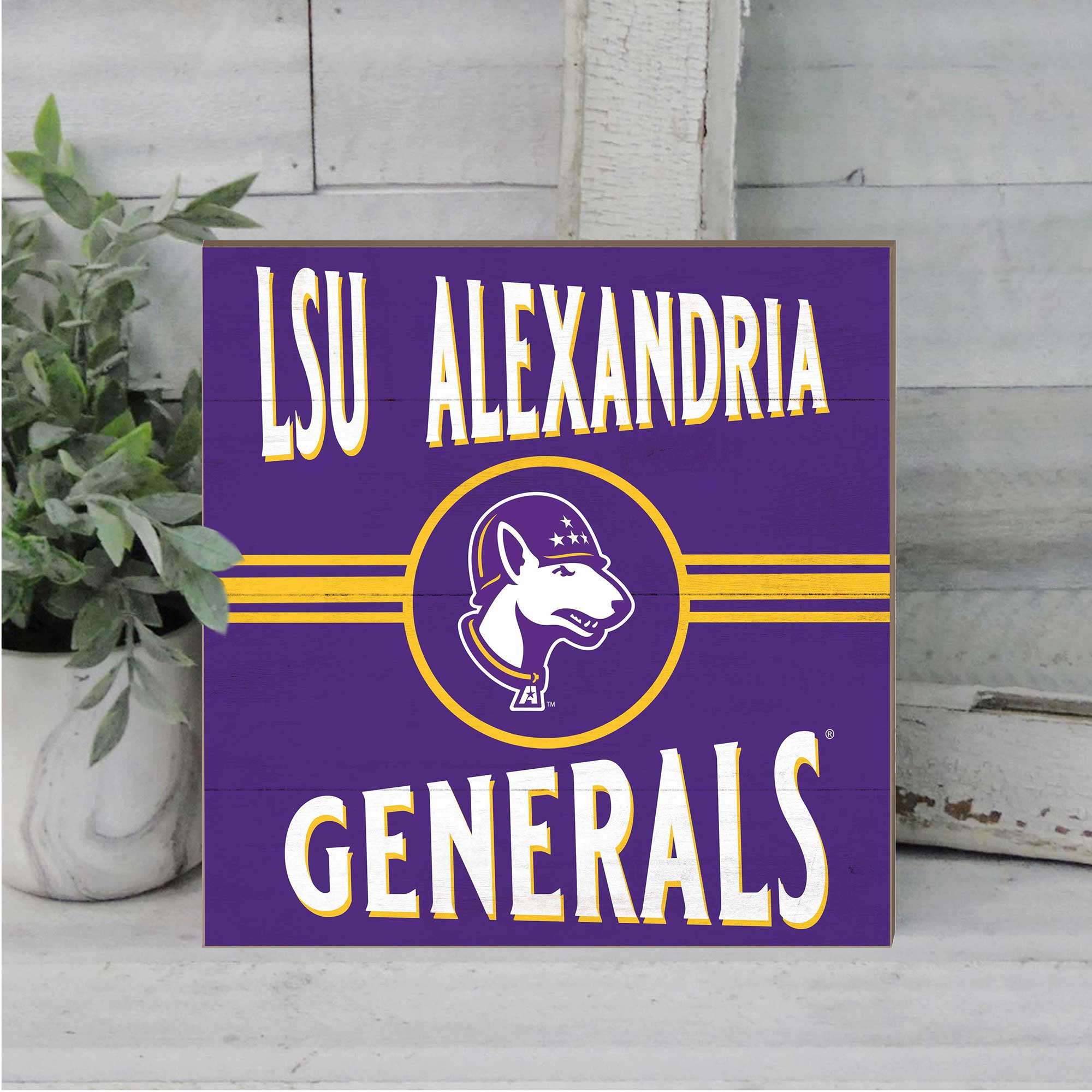 LSU ALEXANDRIA  
GENERALS