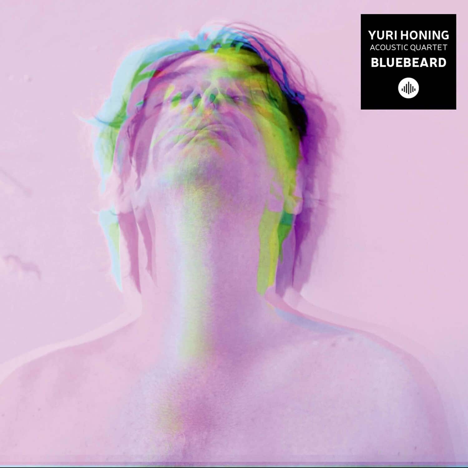 Honing - Bluebeard  - COMPACT DISCS