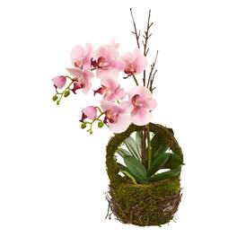 BreeBe - 20" Phalaenopsis Orchid Artificial Arrangement in Basket - Pink