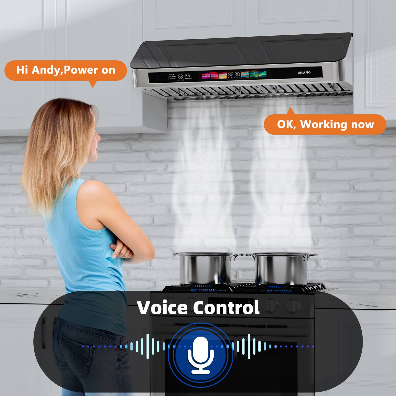 Hi Andy, Power on

OK, Working now

Voice Control