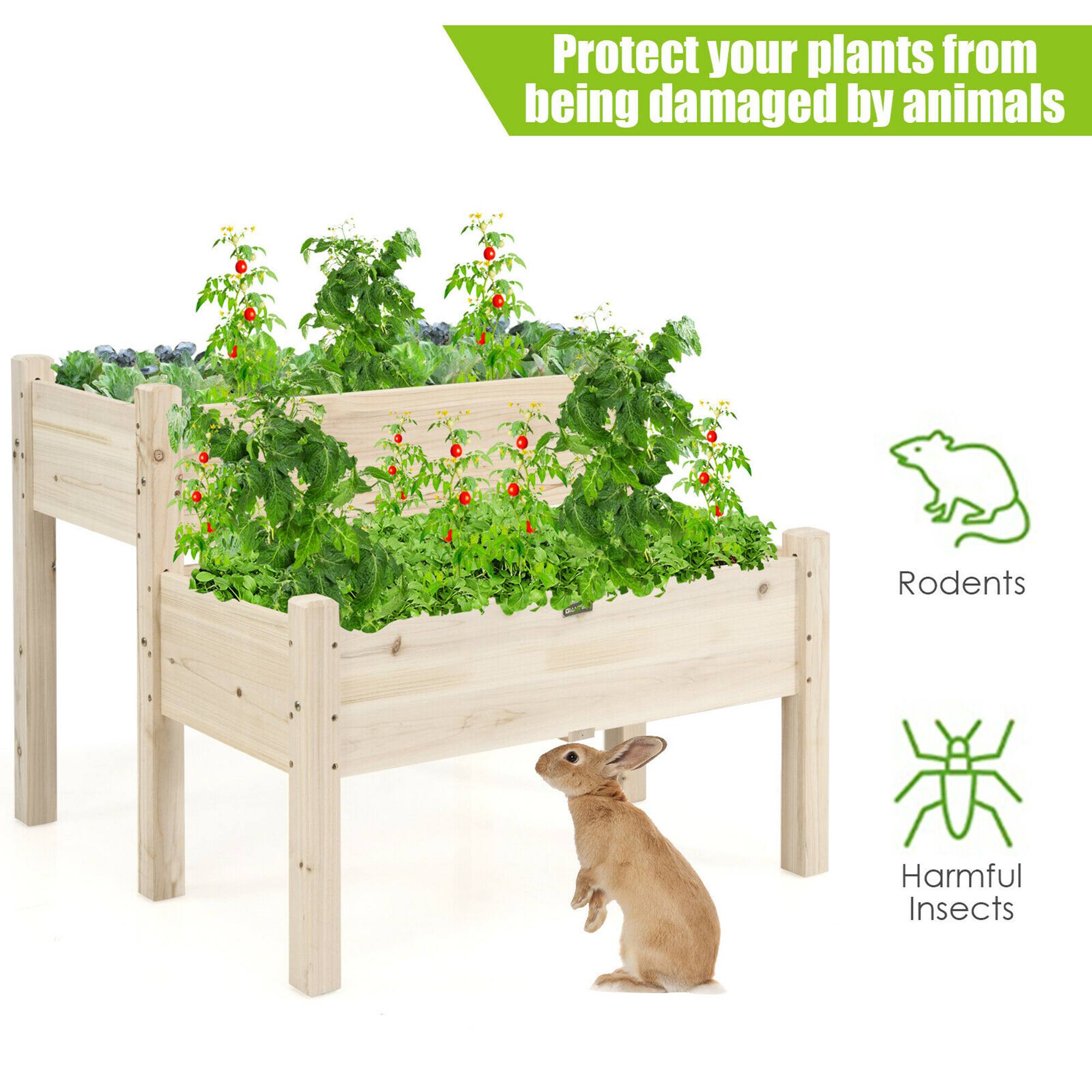 Protect your plants from being damaged by animals

Rodents

Harmful Insects