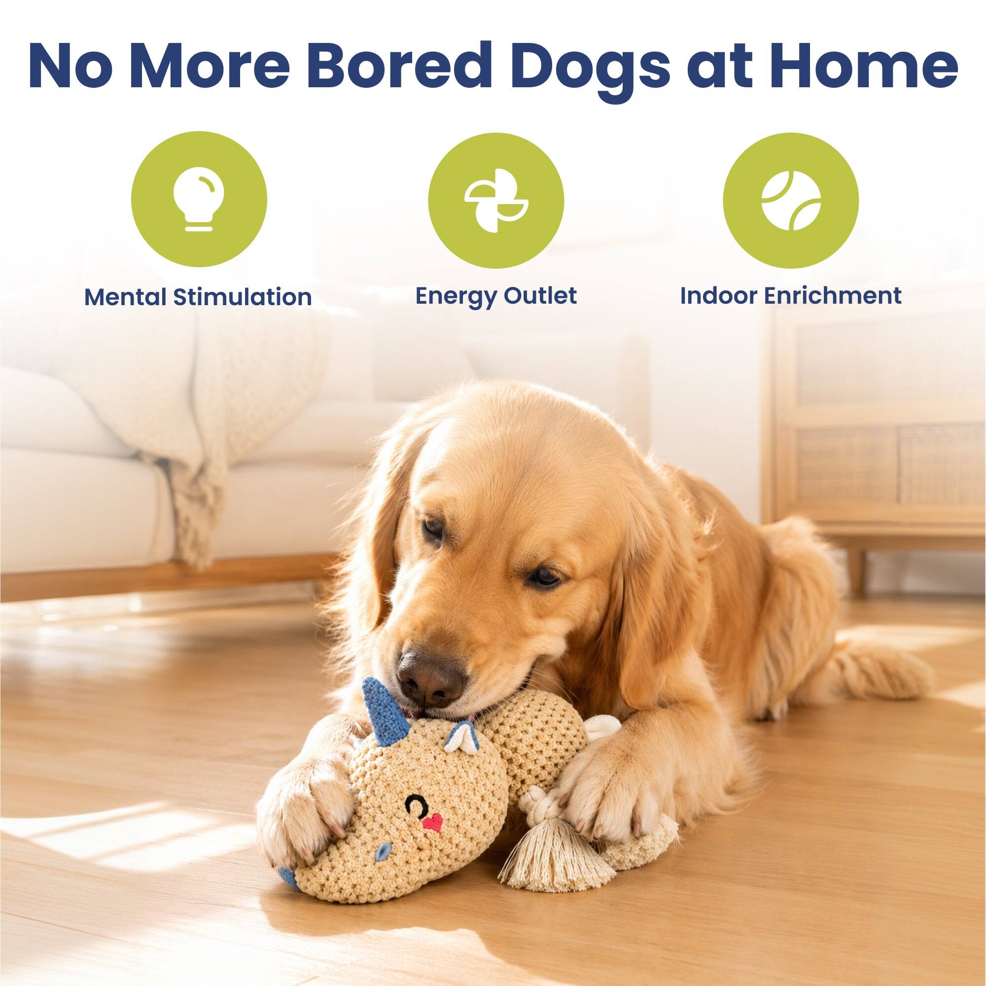 No More Bored Dogs at Home

- Mental Stimulation
- Energy Outlet
- Indoor Enrichment