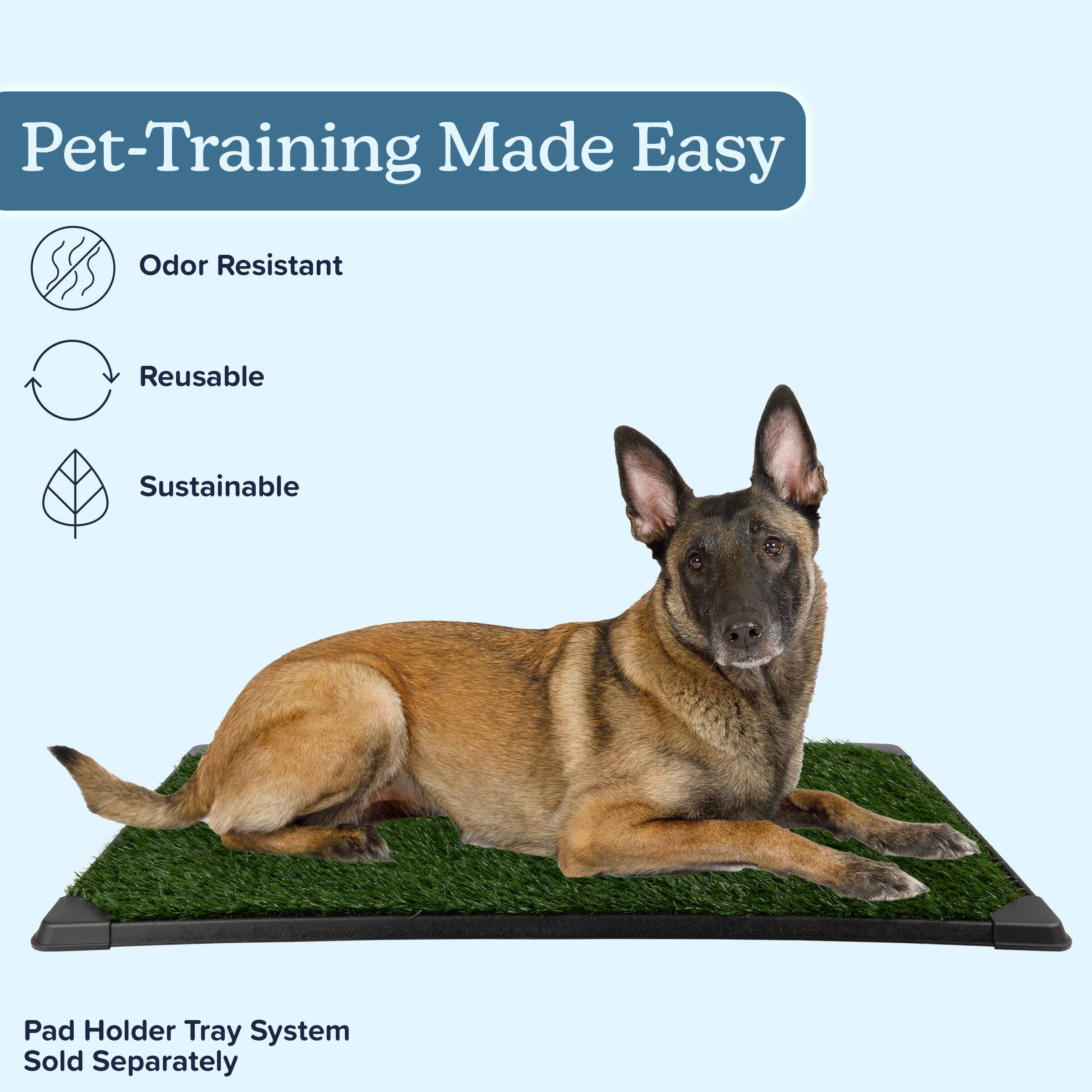 Pet-Training Made Easy

- Odor Resistant
- Reusable
- Sustainable

Pad Holder Tray System Sold Separately