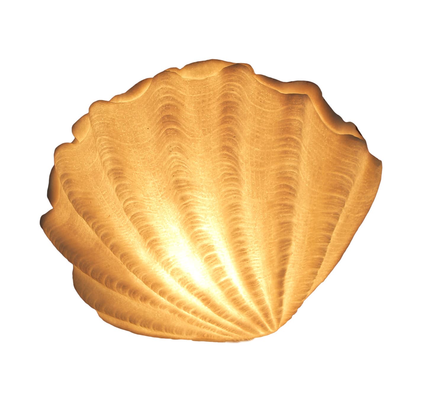 Zeckos - Sandstone Finish Vertical Scallop Shell Coastal Art Accent Lamp - White