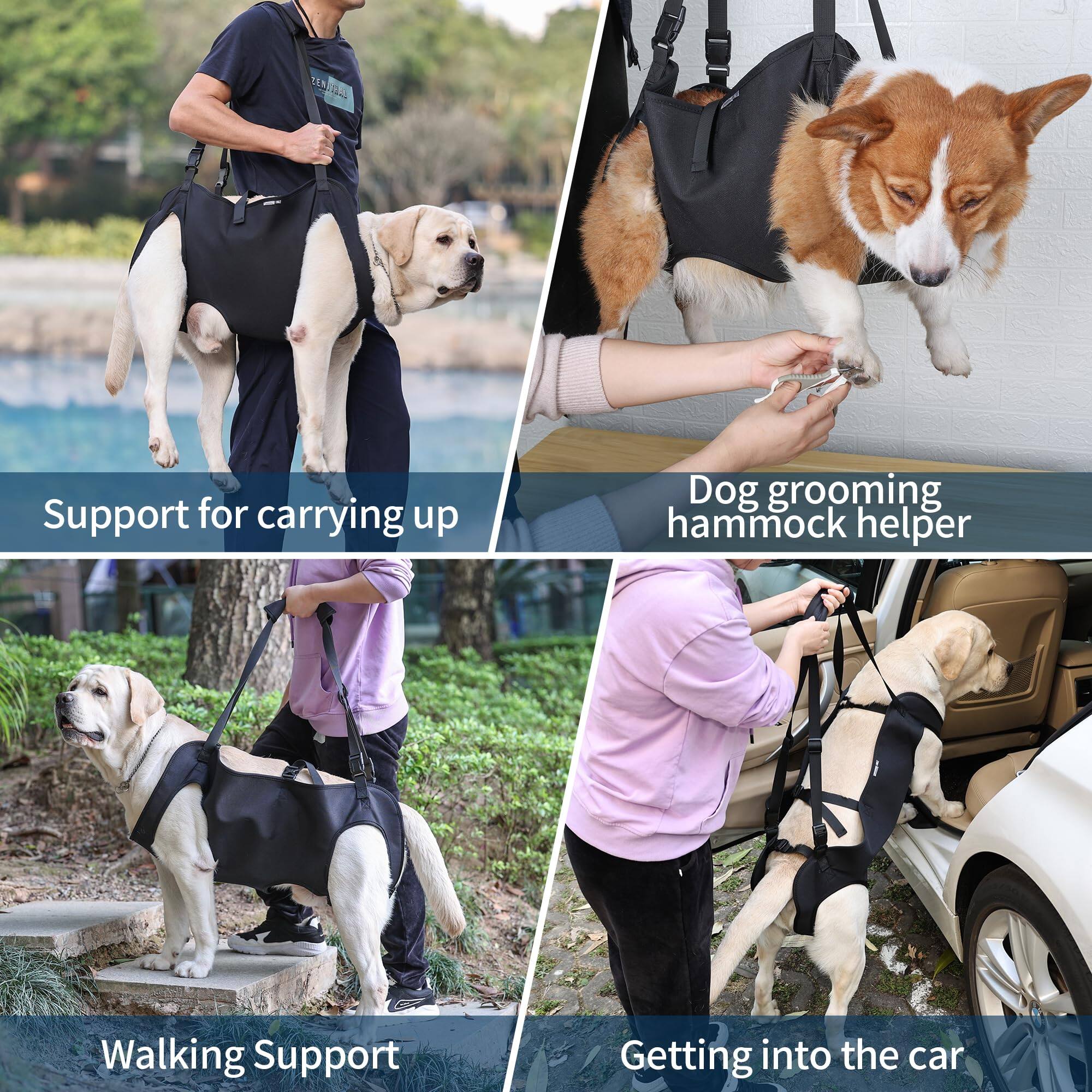 1. Support for carrying up
2. Dog grooming hammock helper
3. Walking Support
4. Getting into the car