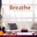 Front Standard. Breathe: The Relaxing Jazz Guitar [CD].