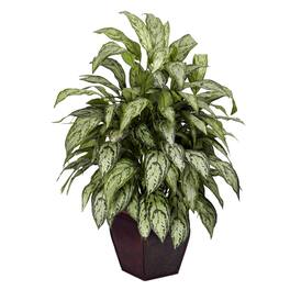 BreeBe - Silver Queen w/Decorative Planter Silk Plant - Green