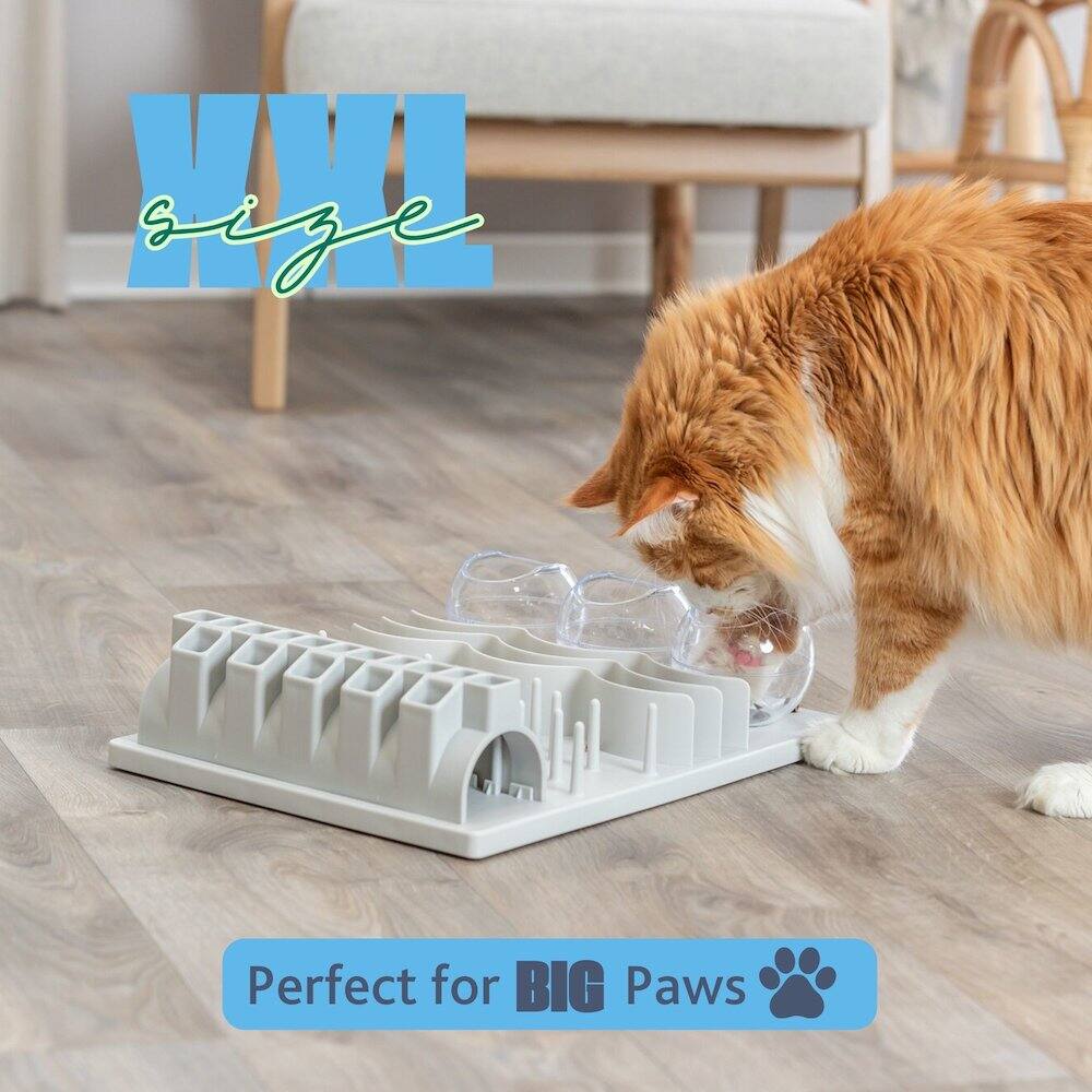 Perfect for BIG Paws
