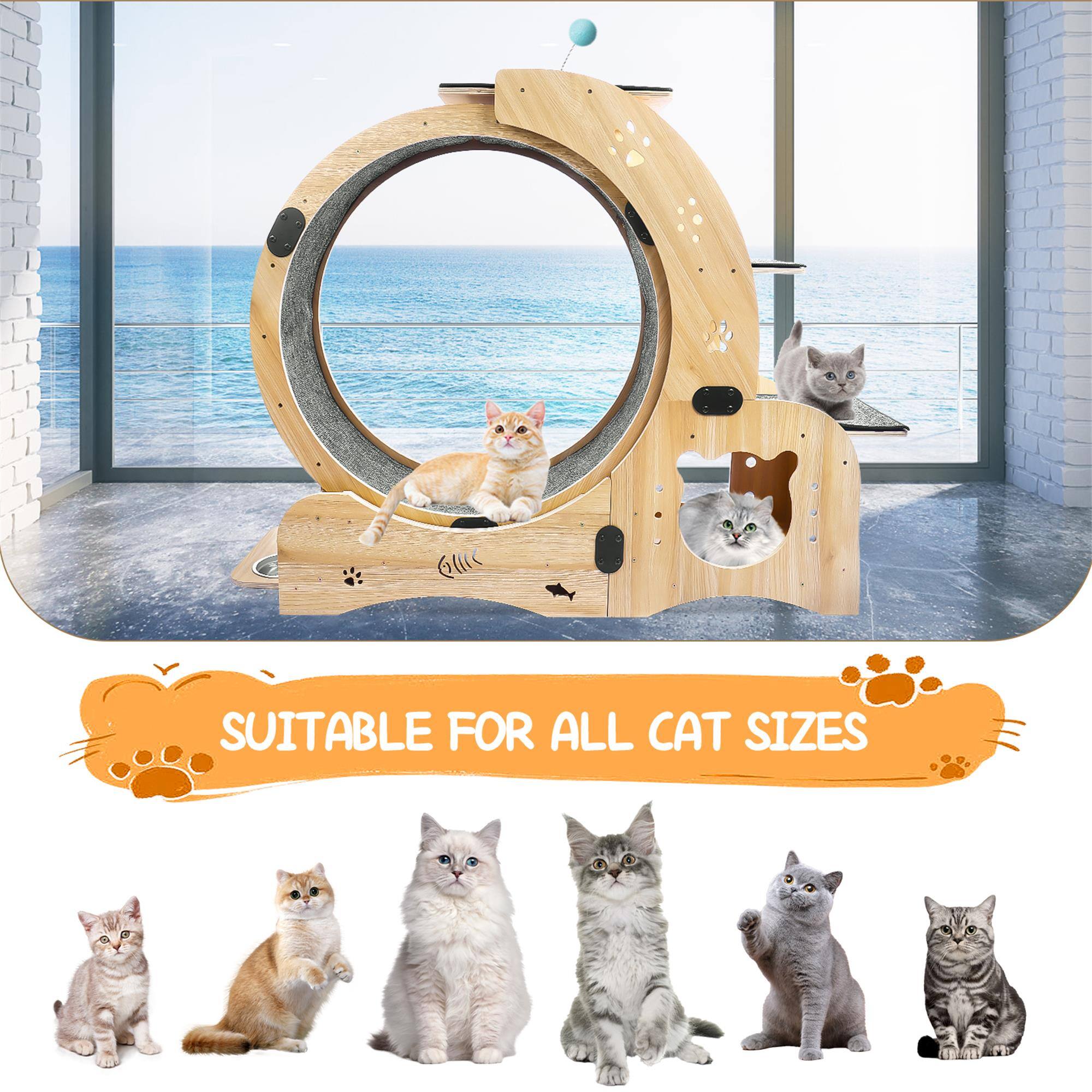 SUITABLE FOR ALL CAT SIZES