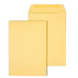 Staples - Gummed Kraft Catalog Envelopes, 6.5" x 9.5", 100/Box - Brown