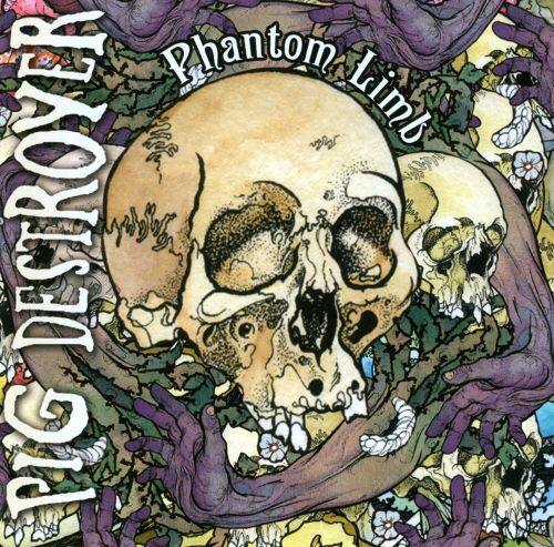 Best Buy: Phantom Limb [CD]