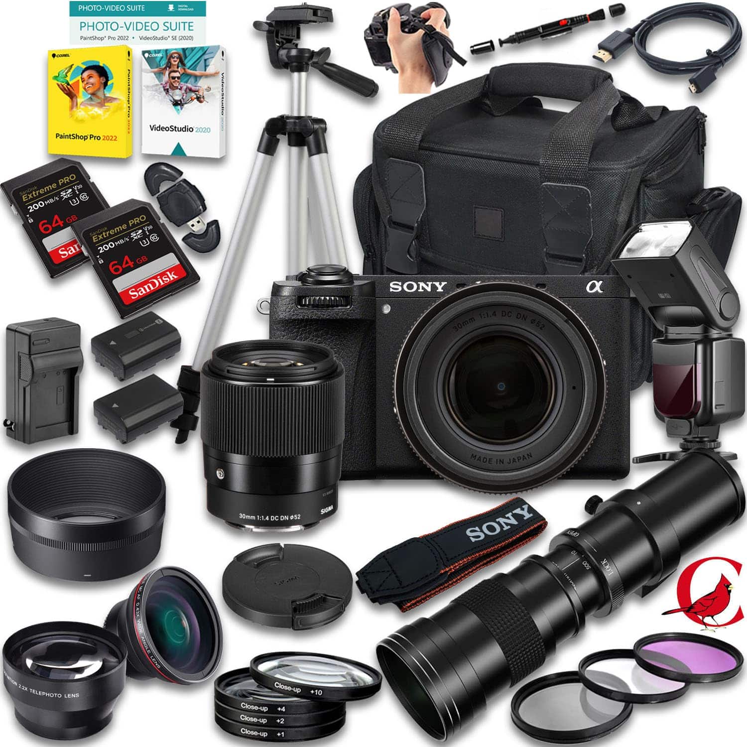 Bundle - Sony - a6700 Mirrorless Camera with Sigma 30mm f/1.4 DC DN Contemporary And 420-800mm f/8 Manual Super HD Telephoto Lens - Black price history on PriceWatchPro