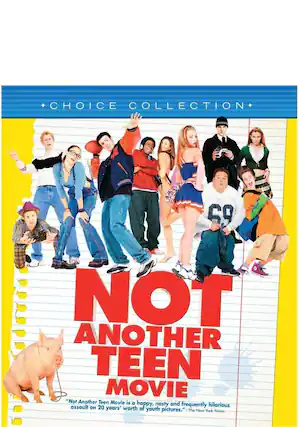 Front. Not Another Teen Movie - BluRay.