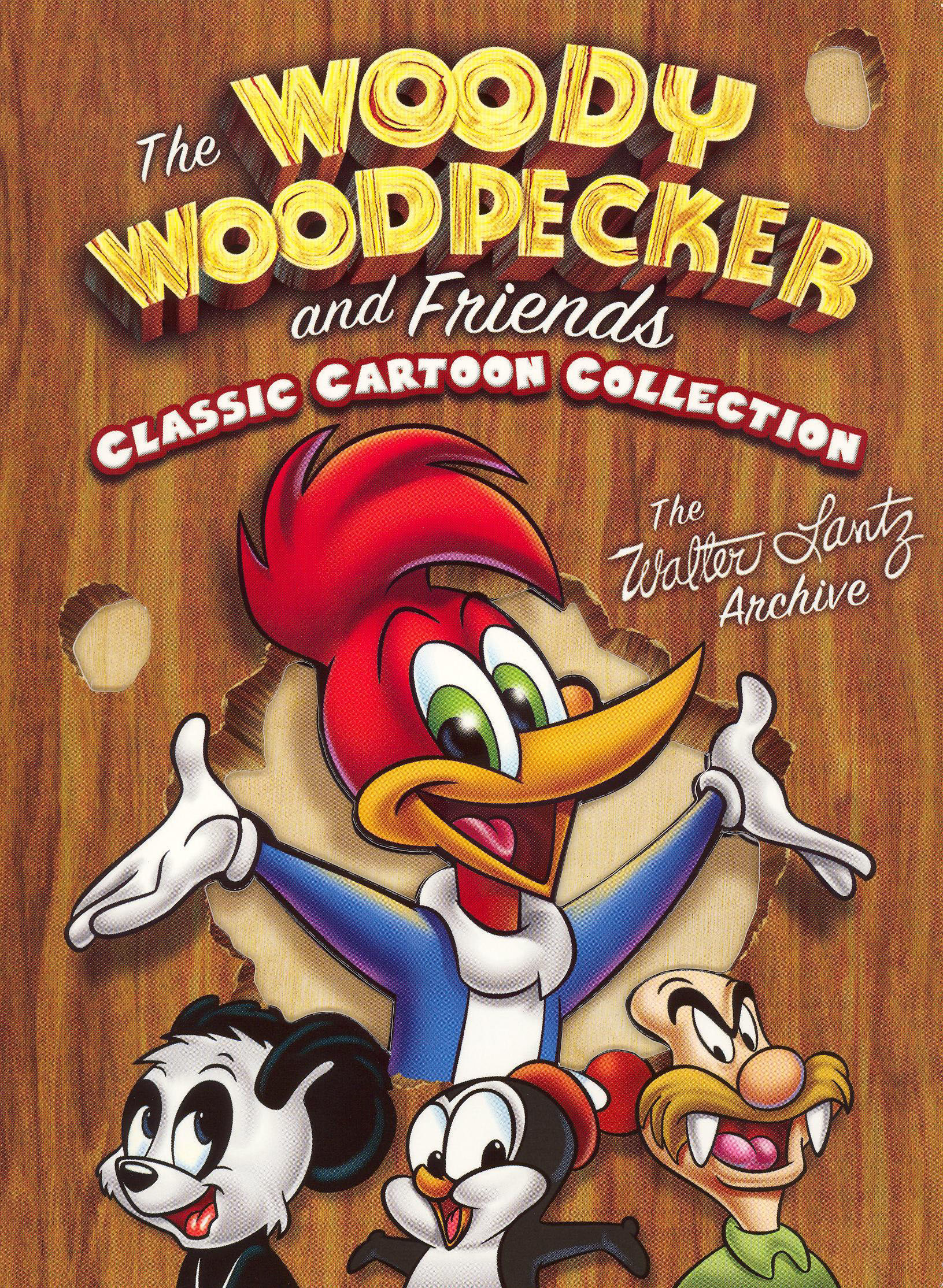 The Woody Woodpecker and Friends Classic Collection [3 Discs] [DVD] - Best  Buy