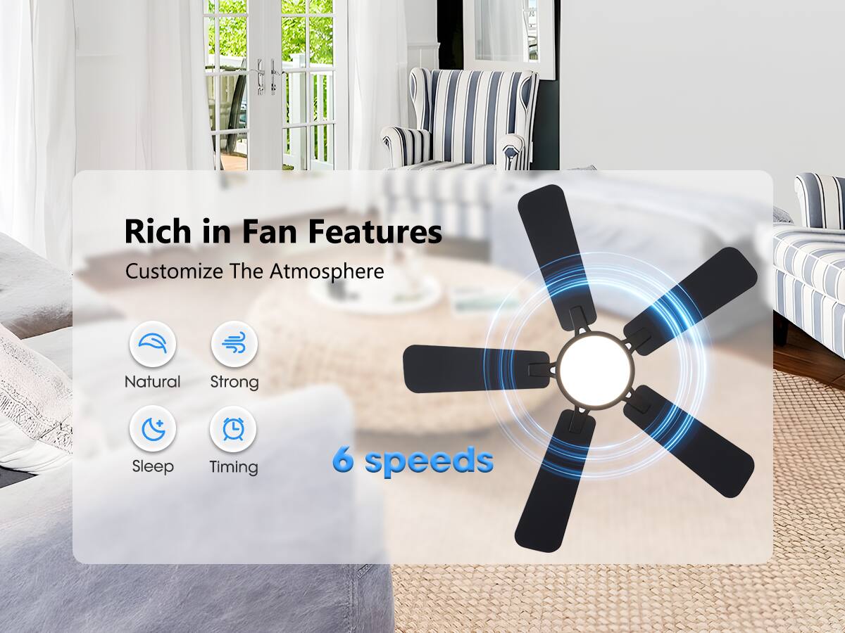 Rich in Fan Features  
Customize The Atmosphere  

Natural  
Strong  
Sleep  
Timing  

6 speeds